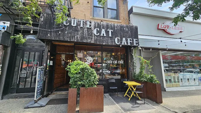 Cute Cafe Picture 1