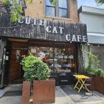 Cute Cafe