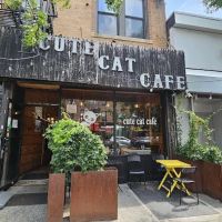 Cute Cafe ico