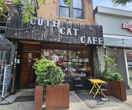 Cute Cafe