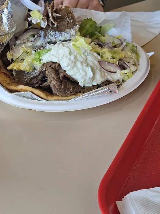 Gyro Grill Picture 5