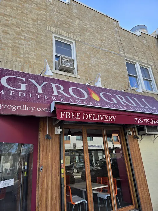 Gyro Grill Picture 8