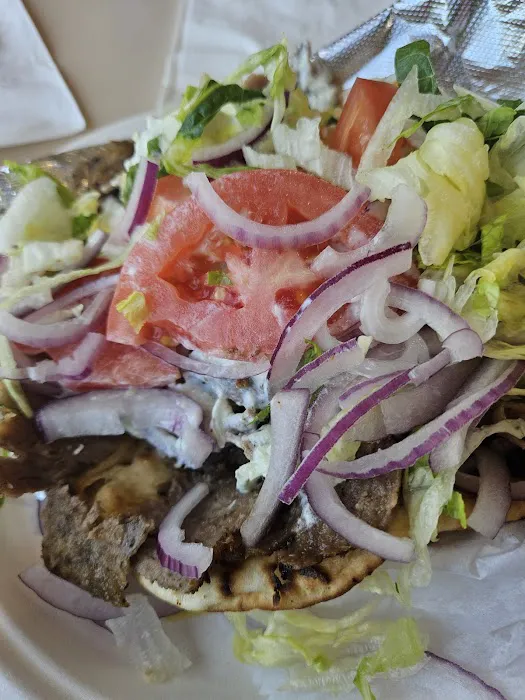 Gyro Grill Picture 6