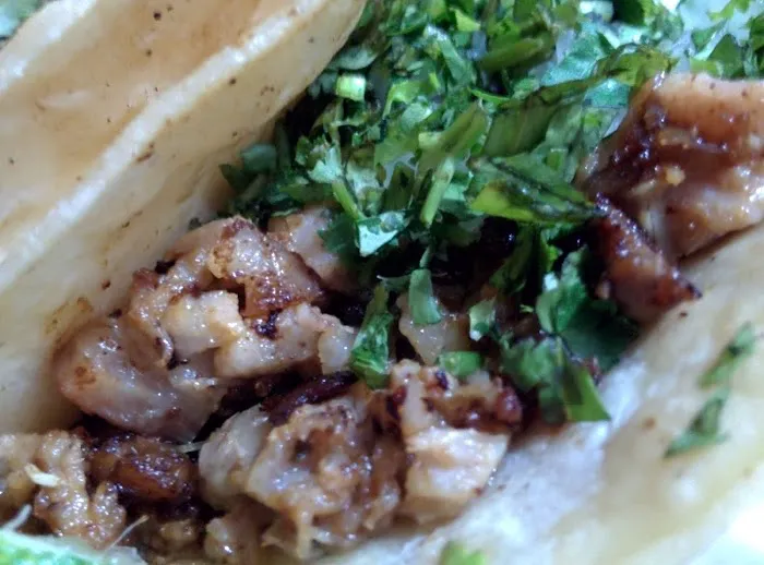Tacos Gloria (food cart) Picture 9