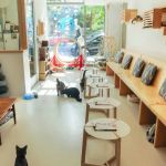The Ultimate Guide to Cat Cafes and Dog-Friendly Cafes