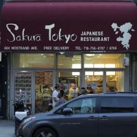 Sakura Tokyo ico