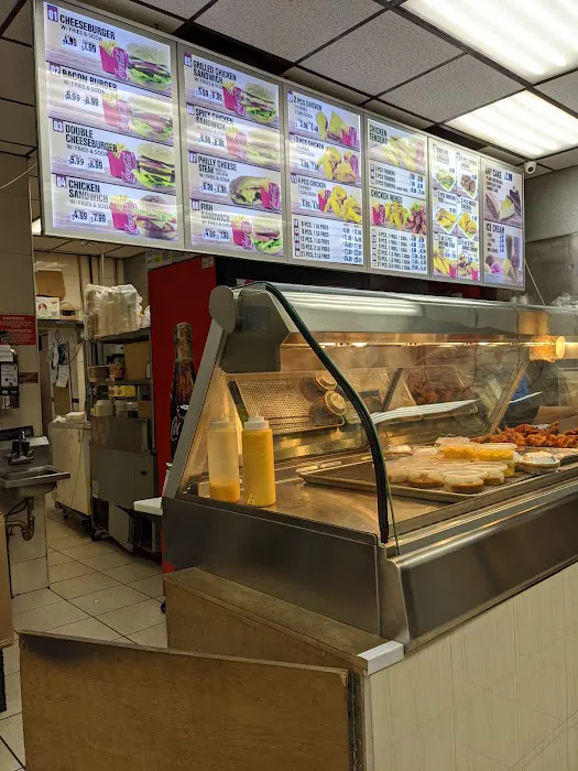 New Texas Chicken and Grill Picture 6