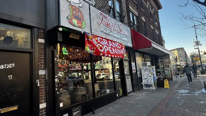 Falafel Bites Picture 4