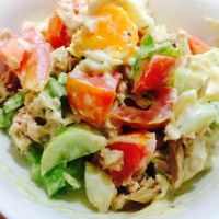 Salad Shack ico