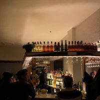 The Fly ico