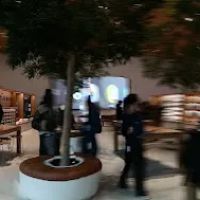 Halal Kitchen Food Cart ico