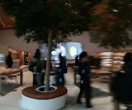 Halal Kitchen Food Cart