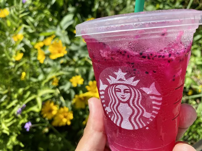 Starbucks Picture 6