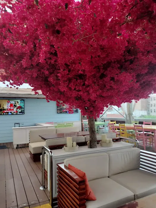 Republica Restaurant Rooftop & Lounge Picture 7