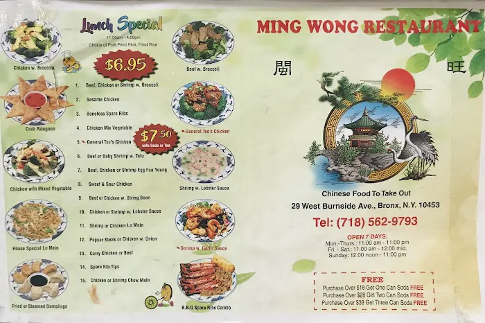 Ming Wong Picture 4