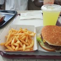 Tex's Chicken & Burgers ico
