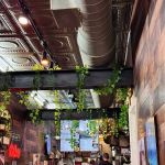 David's Brisket House