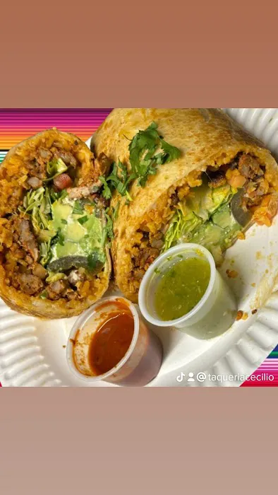 Taqueria Cecilio Food Truck Picture 2
