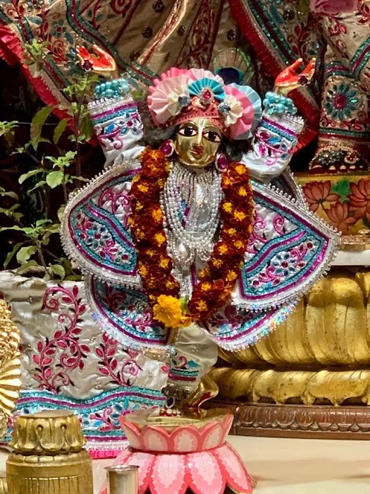 Govinda's Vegetarian Lunch Picture 2