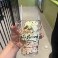 Van Leeuwen Ice Cream ico