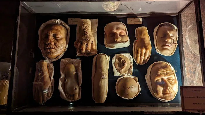 House of Wax Picture 5