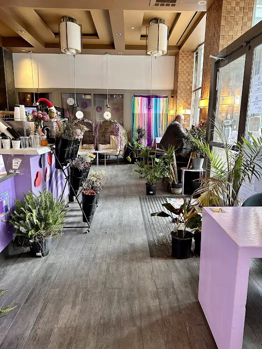 Purple Rainbow Cafe Picture 10
