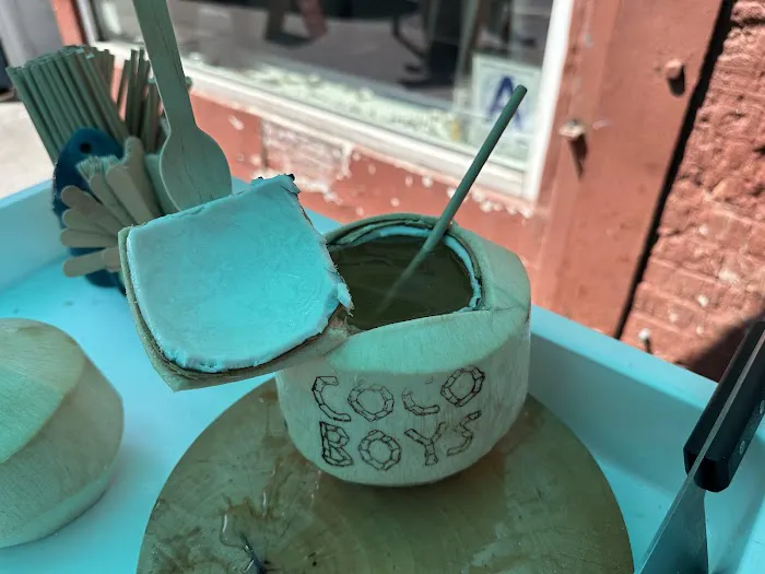 COCONUT ICE CREAM SHOP (COCO BOYS NYC) Picture 7