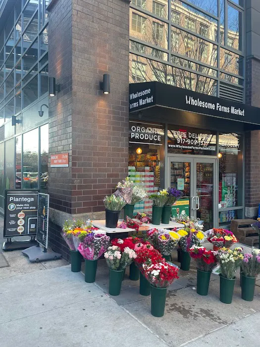 Plantega (Wholesome Farms Market) Picture 7