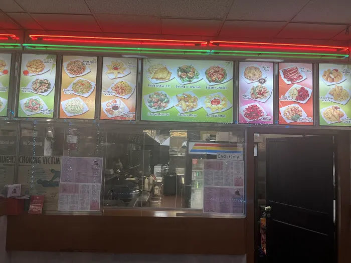 China Garden Picture 4