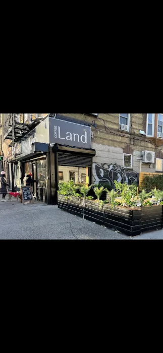 Coffee Land Picture 5