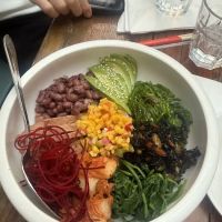 Luanne's Wild Ginger ico