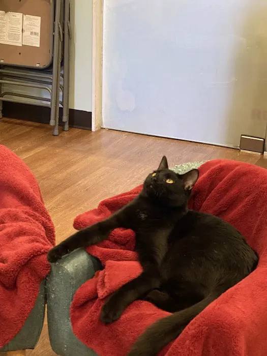 Good Home Pet Adoptions Picture 7