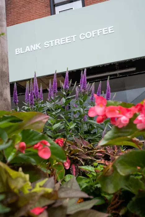 Blank Street Coffee Picture 3
