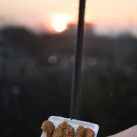 Wing Boss ico
