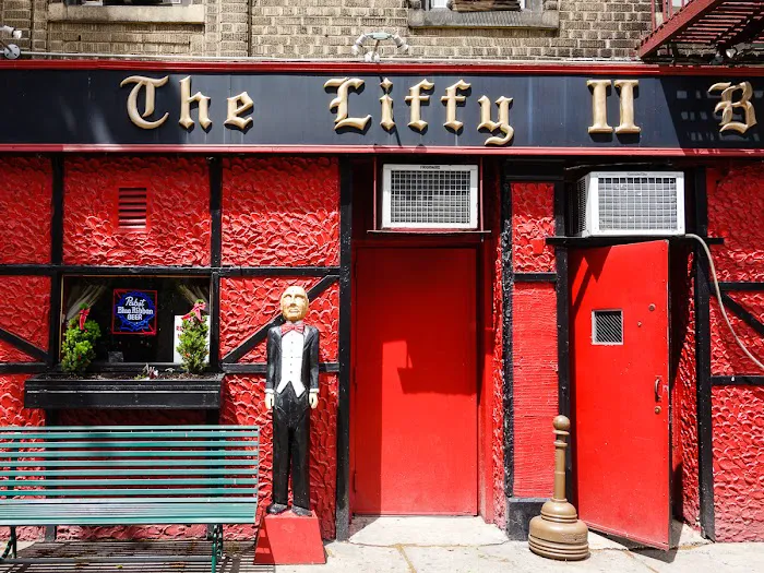 Liffy II Bar Picture 8