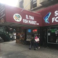 Tina Fish Market ico