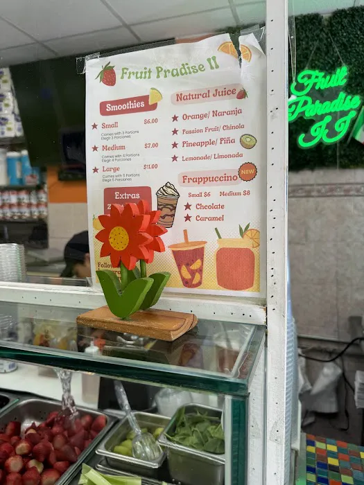 Fruit Paradise Smoothies 2 Picture 3