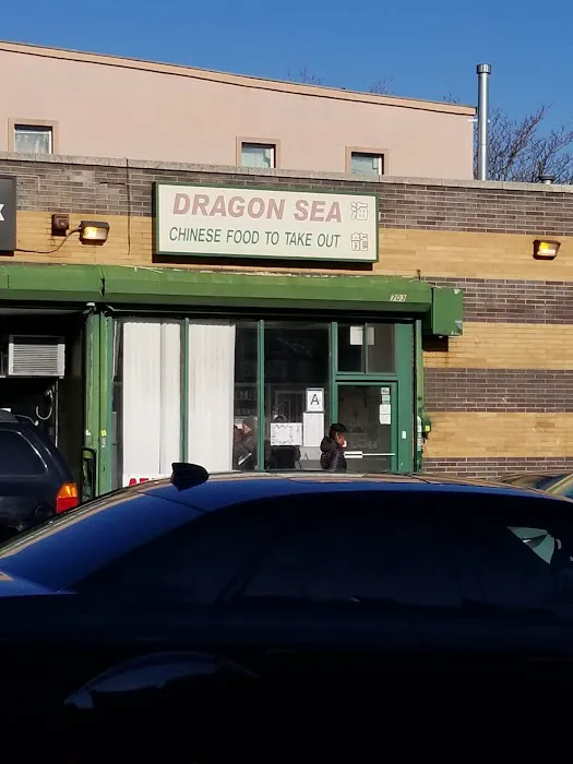 Dragon Sea Picture 8