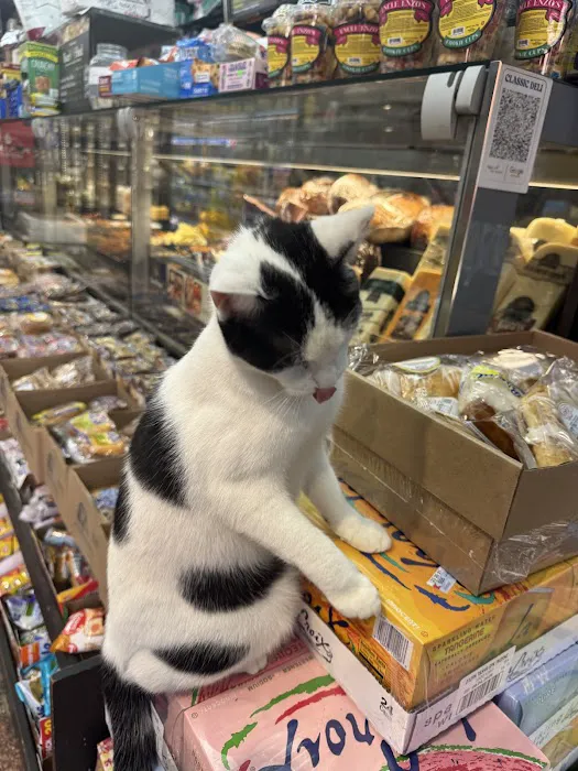 Classic Deli Picture 9