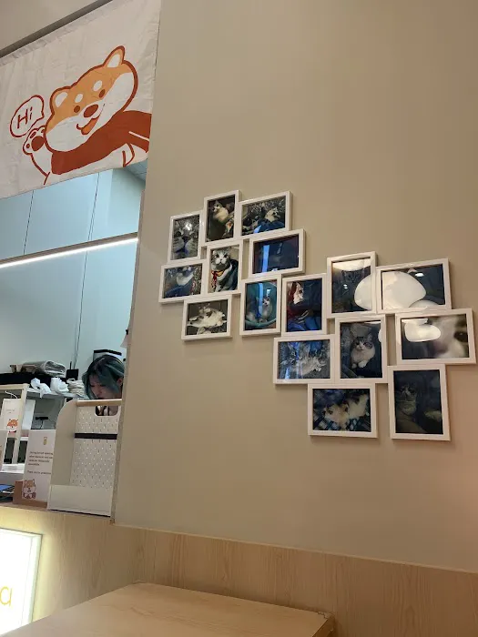 Chihiro Tea Downtown Brooklyn Picture 3