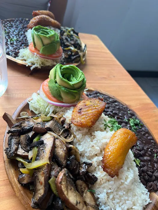 Next Stop Vegan Picture 5