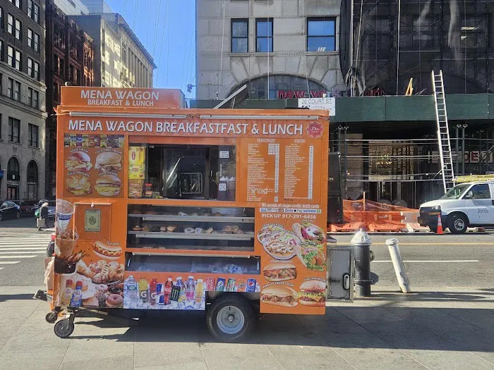 Mena wagon Picture 8