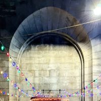Dumbo Station ico