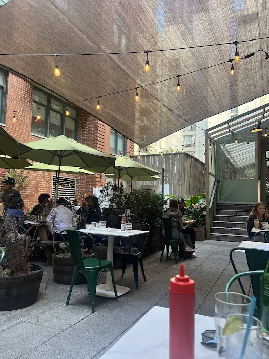 Westville Dumbo Picture 9