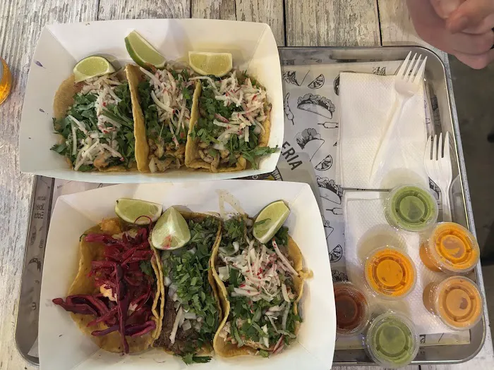 El Gallo Taqueria Picture 5