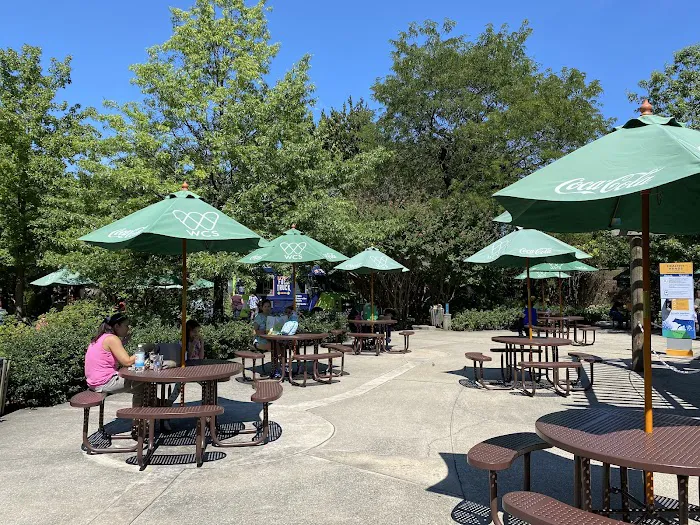 Sea Lion Store & Cafe Picture 4