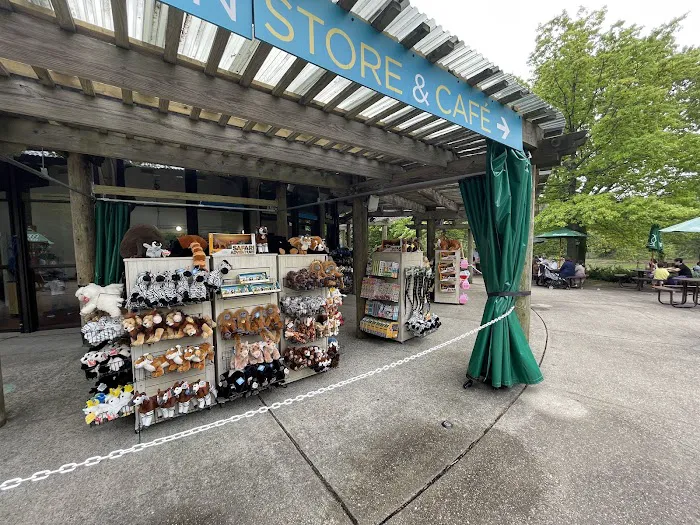 Sea Lion Store & Cafe Picture 6