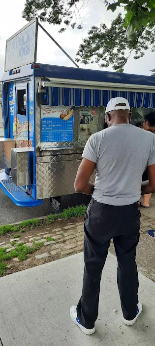 Dominick's Hot Dog Truck Picture 3