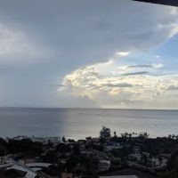 Jamaican Flavors ico