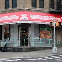 Copper Hill Deli Inc ico